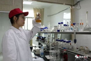 肥西县高新技术企业认定实现新突破 科技中介服务助力产业升级